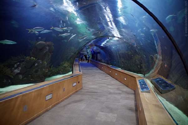 Shangrala's World's Unusual Tunnels