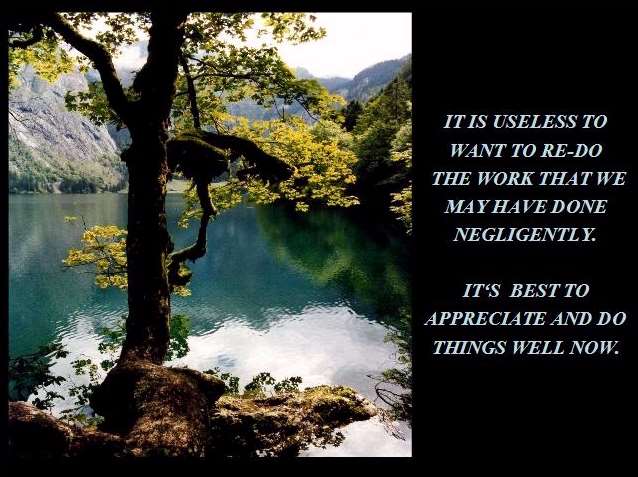 Shangrala's Value What You Have