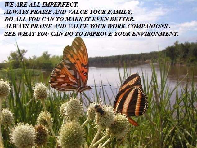 Shangrala's Value What You Have