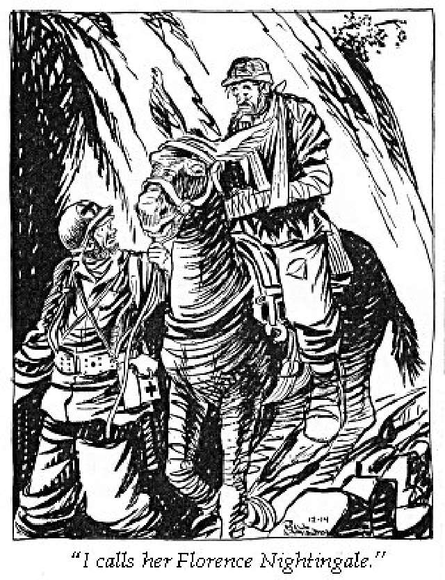 Shangrala's Willie, Joe And Bill In WWII