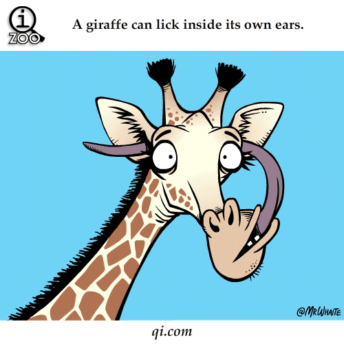 Shangrala's Funny Animal Facts