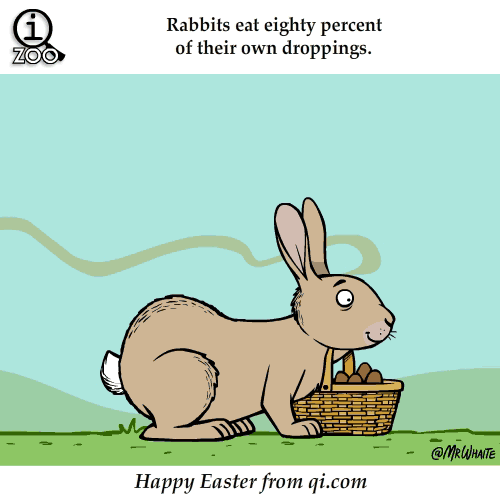 Shangrala's Funny Animal Facts