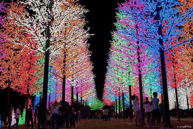 Shangrala's Breathtaking Photos!