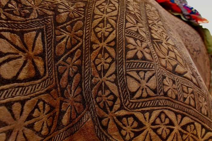 Shangrala's Camel Hair Art