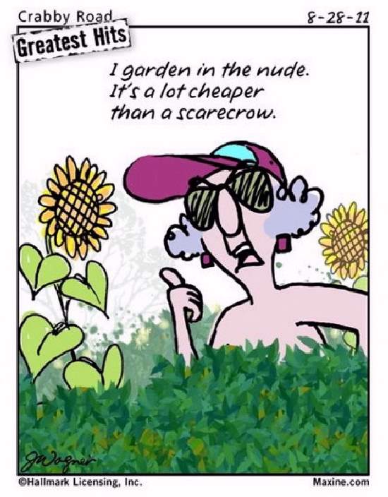 Shangrala's Maxine Humor 2