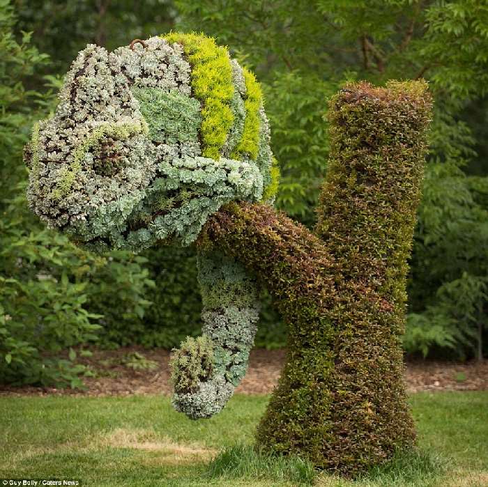 Shangrala's Montreal Mosaicultures Show