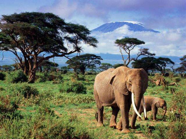 Shangrala's Honoring Nature
