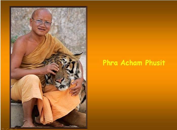 Shangrala's Thailand's Tigers 2