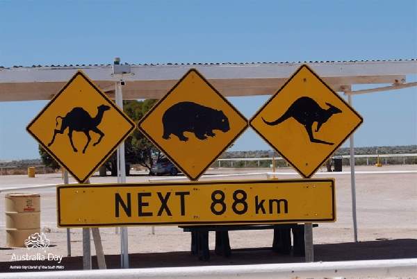 Shangrala's Only In Australia