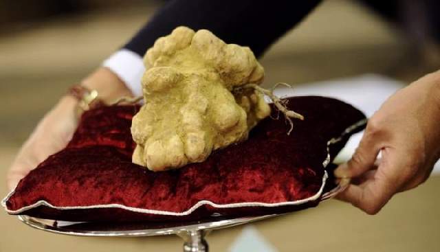Shangrala's World's Most Expensive Things