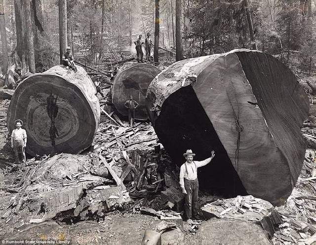 Shangrala's Rare Historical Photos