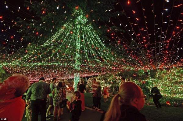 Shangrala's Record Christmas Lights