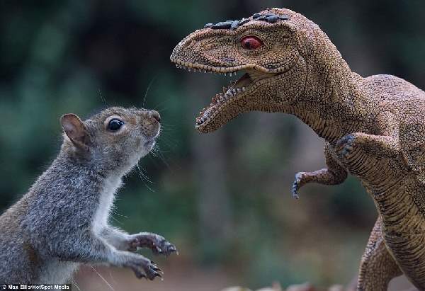 Shangrala's World Of Squirrels 2