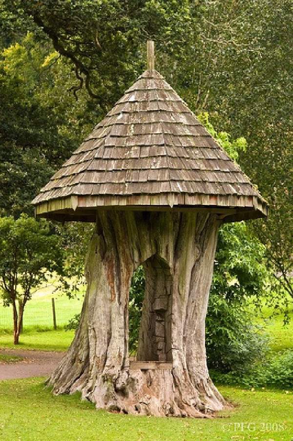 Shangrala's Tree Trunk Art 2