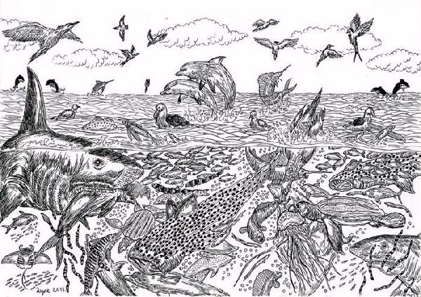 Shangrala's Dusan's Wild Life Art