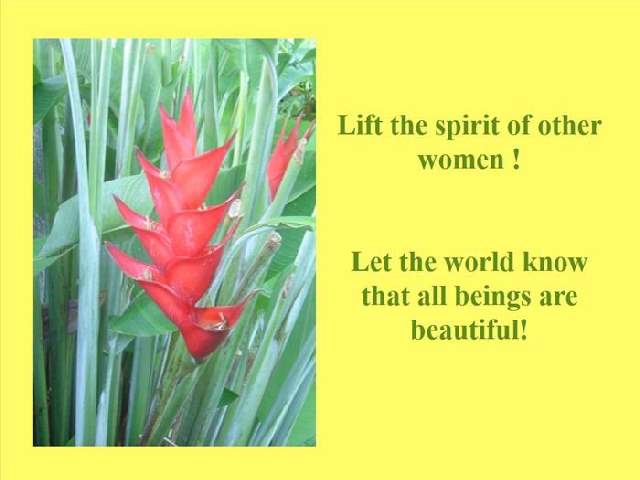 Shangrala's Tears Of A Woman