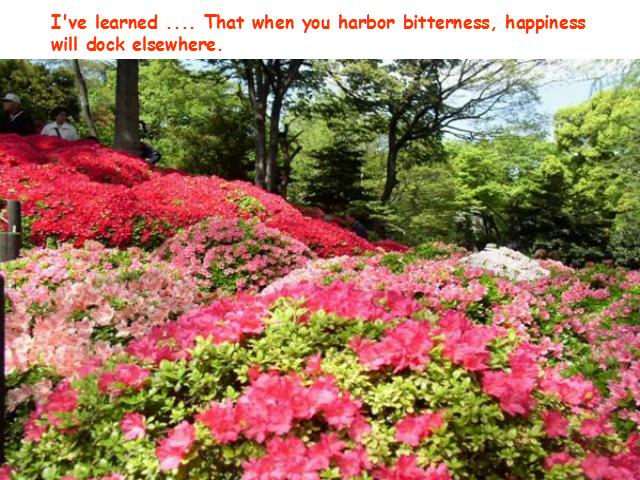 Shangrala's What I've Learned In Life