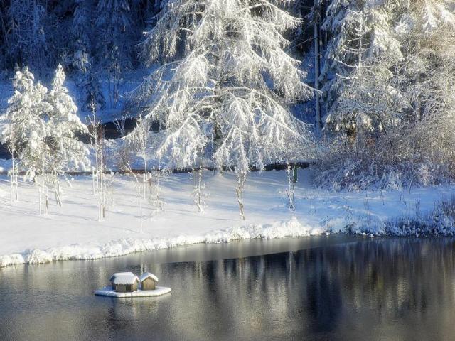 Shangrala's Beautiful Photo Winners