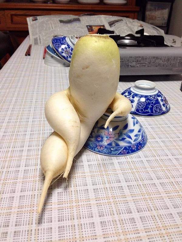 Shangrala's Silly Veggies