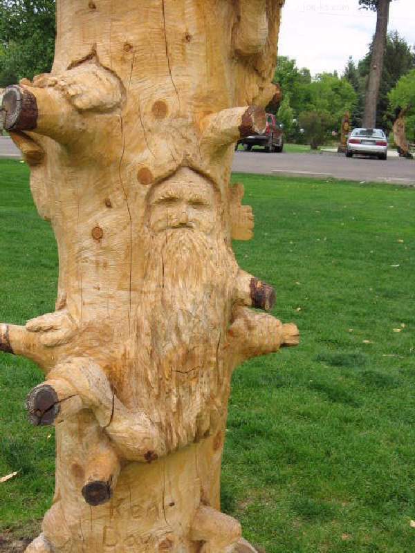 Shangrala's Chainsaw Wood Carving Art 2