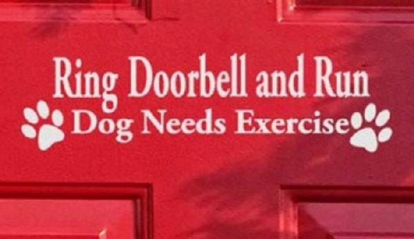 Shangrala's Beware Of Dog Signs