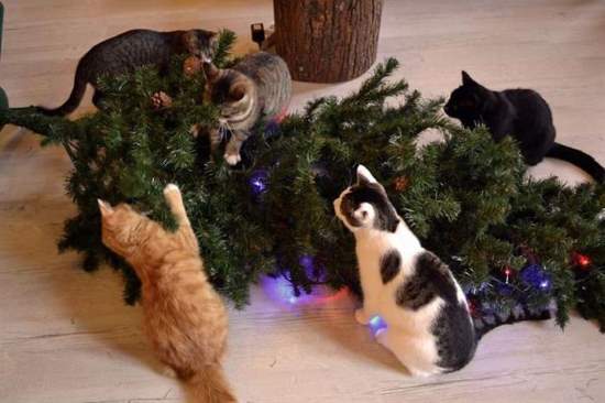 Shangrala's Naughty Christmas Pets