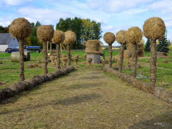 Shangrala's Farmers Gone Wild 2