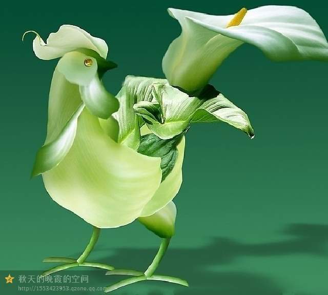 Shangrala's Beautiful Spilling Flowers