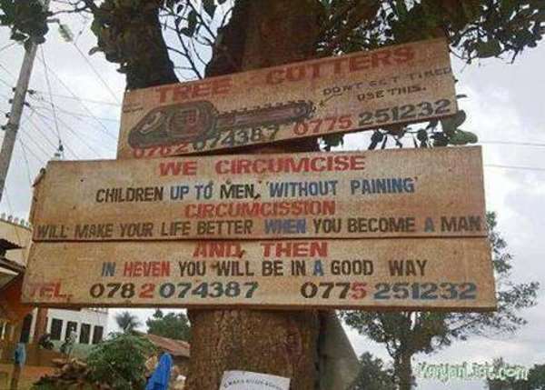 Shangrala's Only In Africa