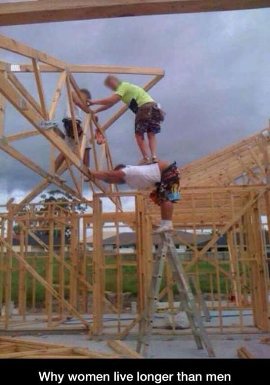 Shangrala's Morons At Work 6!