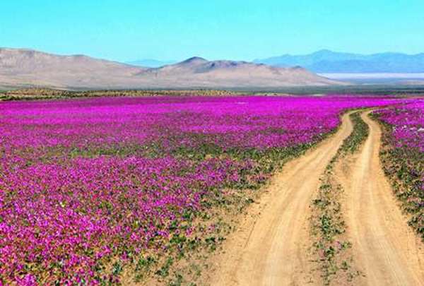 Shangrala's World's Most Spectacular Places 6