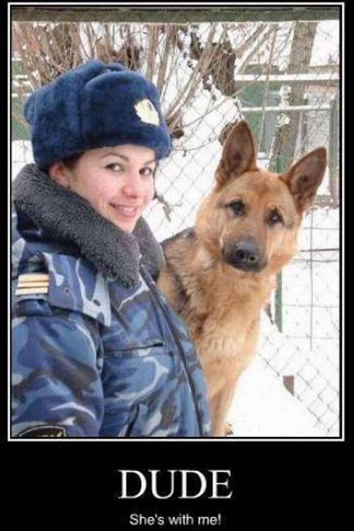 Shangrala's Police Dogs 2