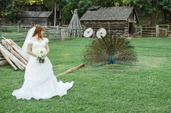 Shangrala's Uninvited Wedding Guests