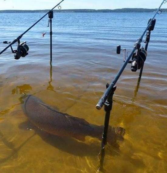 Humor With Fishing