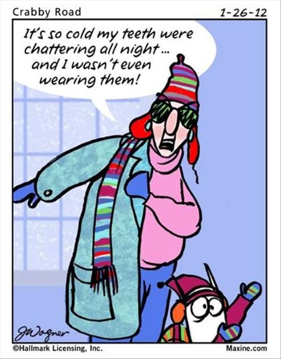 Shangrala's Maxine On Winter