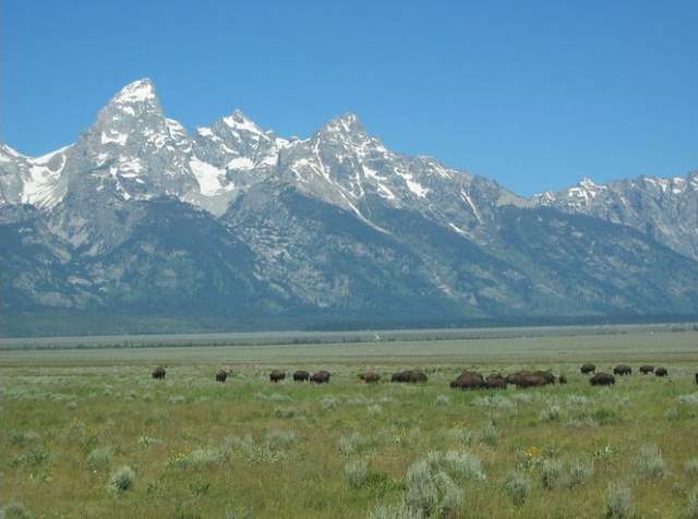 Shangrala's Grand Teton National Park