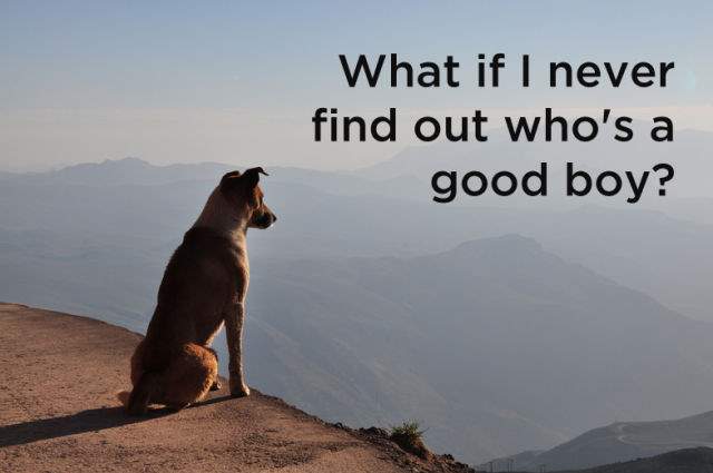Shangrala's Dog Thoughts