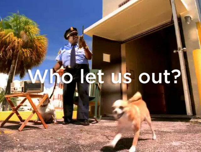Shangrala's Dog Thoughts