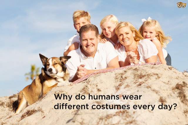Shangrala's Dog Thoughts