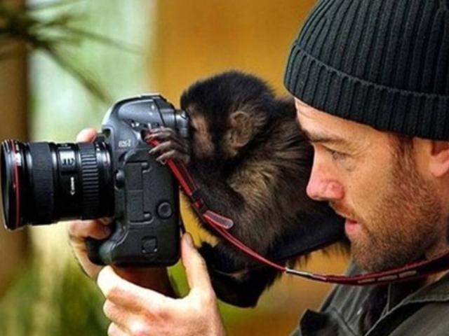 Shangrala's The Look