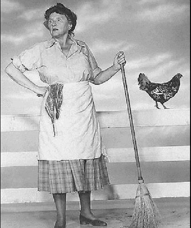 Shangrala's The Look