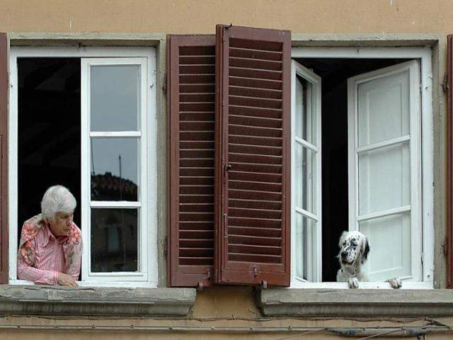 Shangrala's The Look