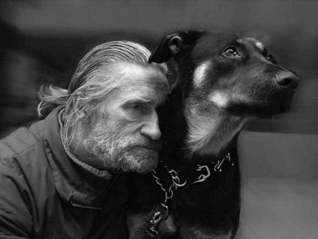 Shangrala's The Look