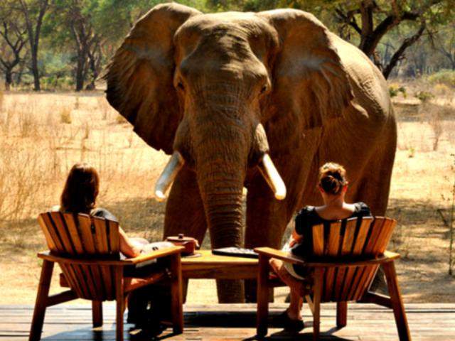 Shangrala's The Look