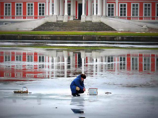 Shangrala's The Look