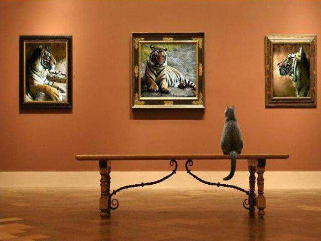 Shangrala's The Look