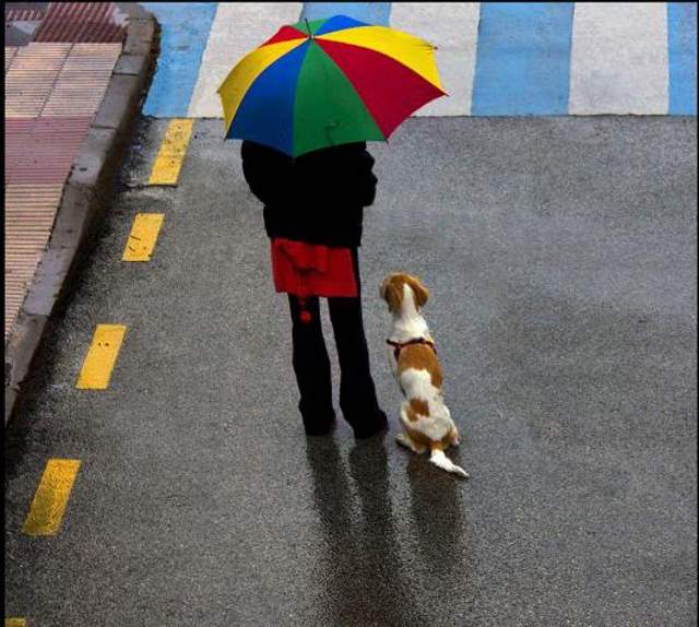 Shangrala's The Look