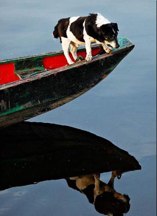 Shangrala's The Look