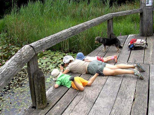 Shangrala's The Look