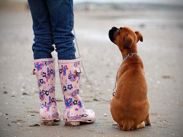 Shangrala's The Look